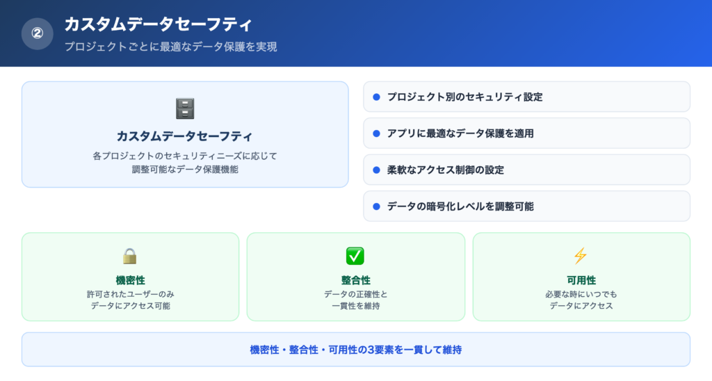 【理由②】カスタムデータセーフティの解説画像